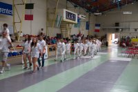 Fête des jeunes Cognac - 2014