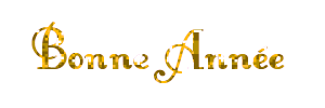 nouvel an 014